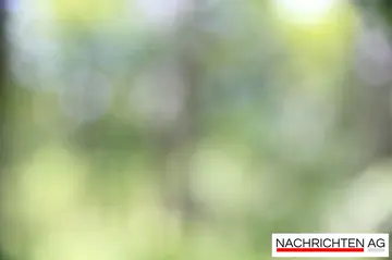 Musik ohne Barrieren: Freier Konzertabend in Kirkel begeistert alle!