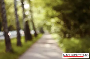 Martinsumzüge 2025: St. Martin zieht durch das Saarland!