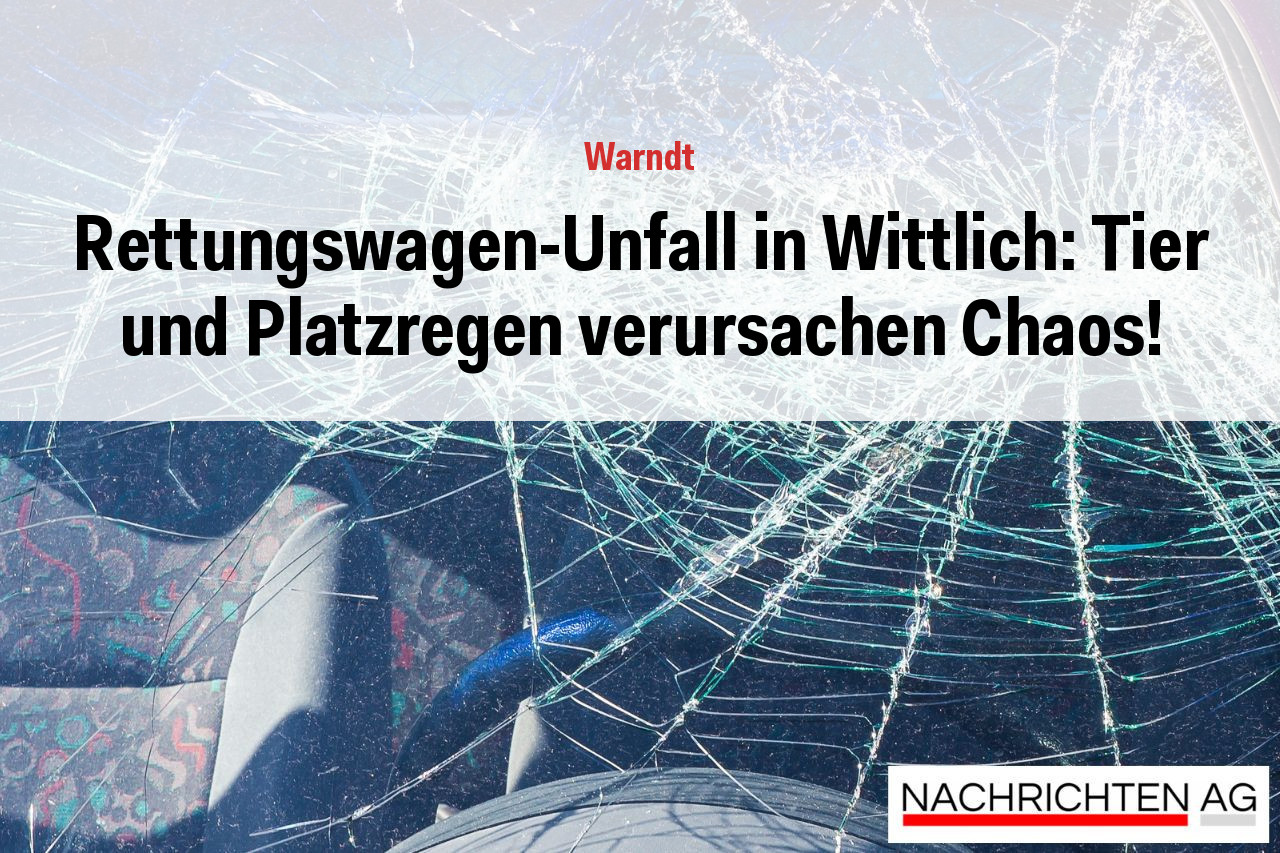 Rettungswagen-Unfall in Wittlich: Tier und Platzregen verursachen Chaos!