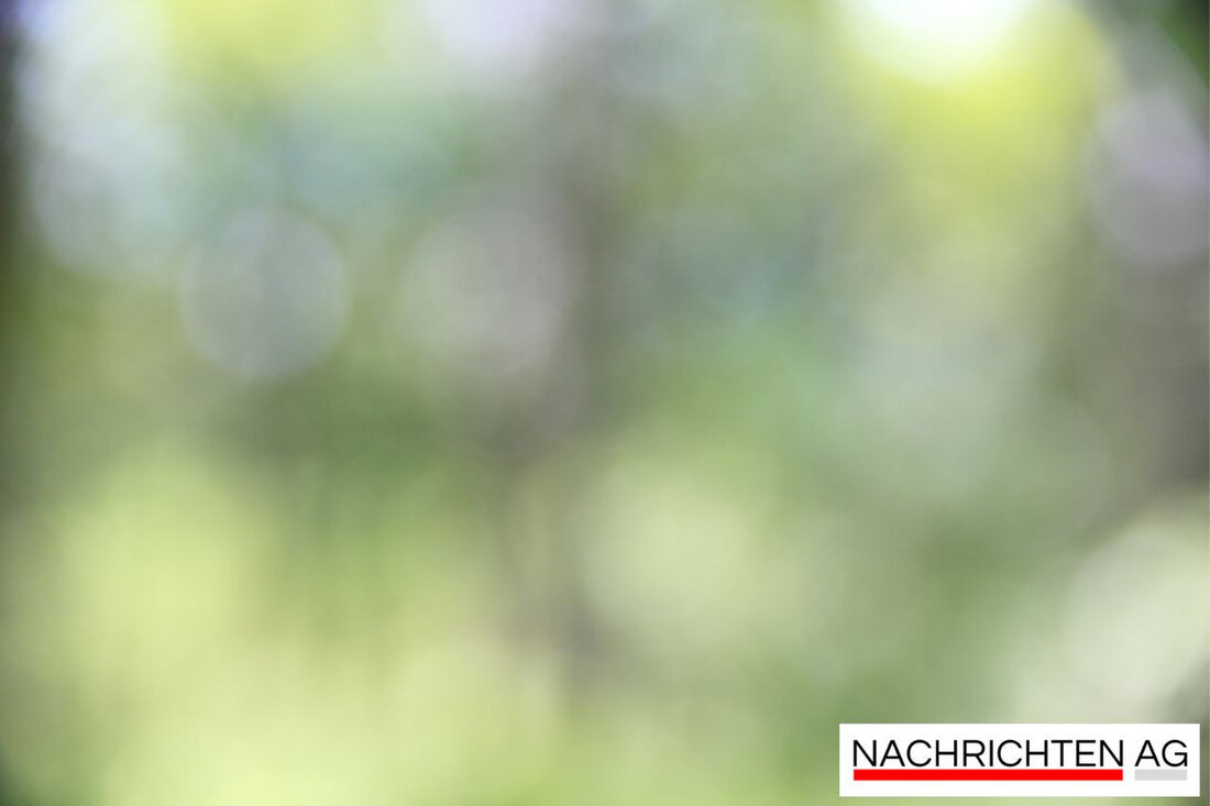 Friseurmeisterin in Illingen kämpft gegen Fachkräftemangel: Ursachen, Herausforderungen und Lösungsansätze im Salonalltag.