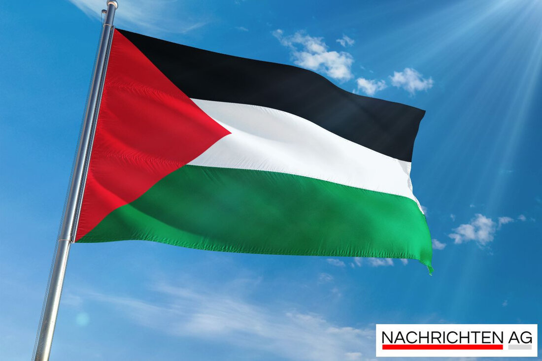 Die Linke steht 2025 vor einem Erneuerungsprozess, um interne Konflikte zu überwinden und neue Mitglieder zu integrieren.