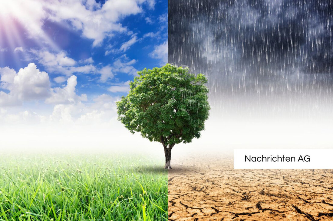 Bad Homburg optimiert Hochwasserschutz durch intelligente Umleitungen und nachhaltige Maßnahmen zur Starkregenvorsorge.