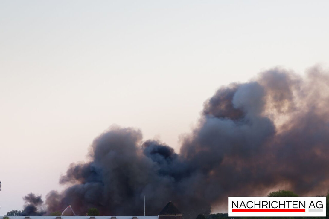 Großbrand in Mainz am 8.07.2025: Bürocontainer-Komplex betroffen, Feuerwehr im Einsatz, keine Verletzten, Brandursache unklar.