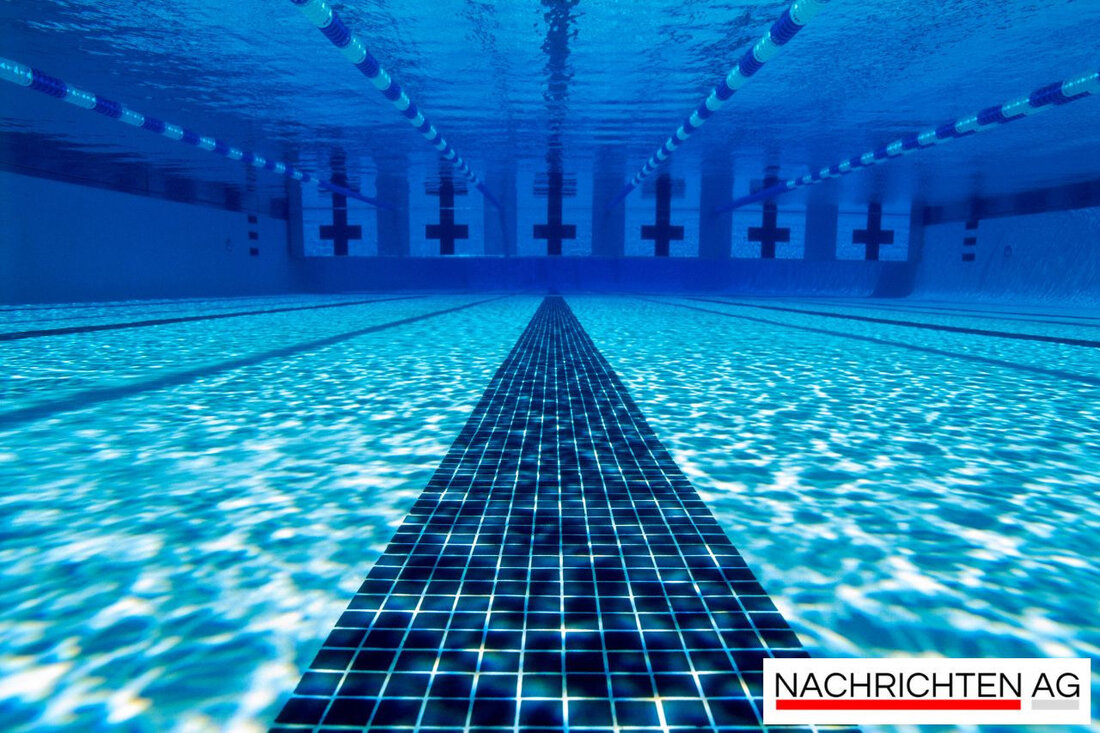 Entdecken Sie Merzigs Wildwoche 2025: Hochwertige Wildgerichte aus heimischen Wäldern im Saarland. Schmackhaft & gesund!